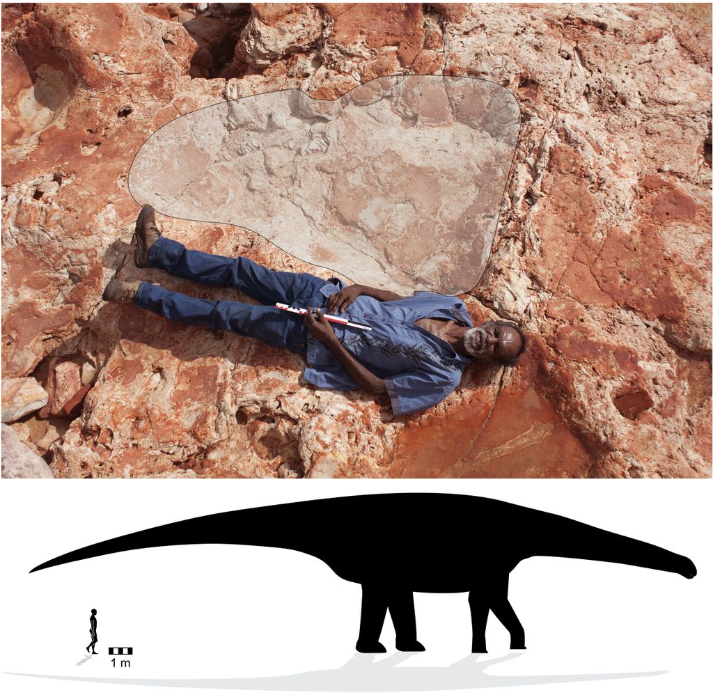 World's biggest dinosaur footprint found in 'Australia's Jurassic Park' https://t.co/J9kmbaeJBm #dinosaur https://t.co/lvEdTyttyt